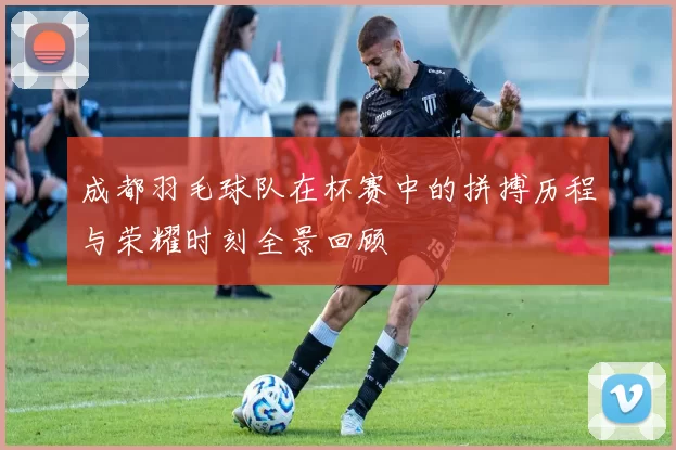 成都羽毛球队在杯赛中的拼搏历程与荣耀时刻全景回顾