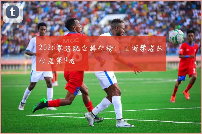 2026攀岩配合排行榜：上海攀岩队位居第9名