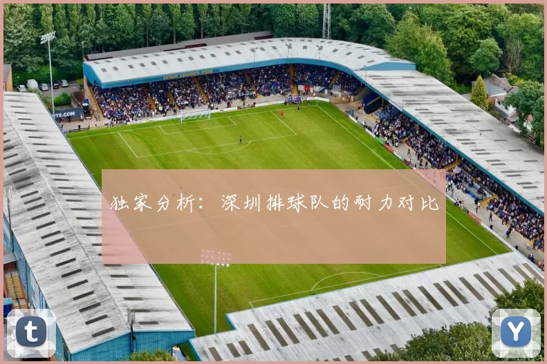 独家分析：深圳排球队的耐力对比