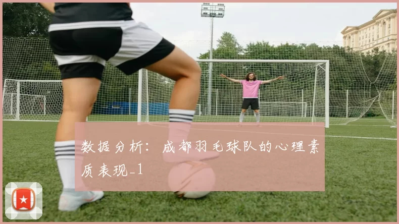 数据分析：成都羽毛球队的心理素质表现_1