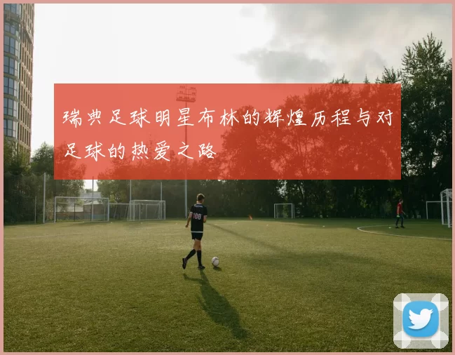 瑞典足球明星布林的辉煌历程与对足球的热爱之路