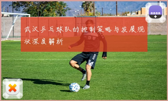 武汉乒乓球队的控制策略与发展现状深度解析