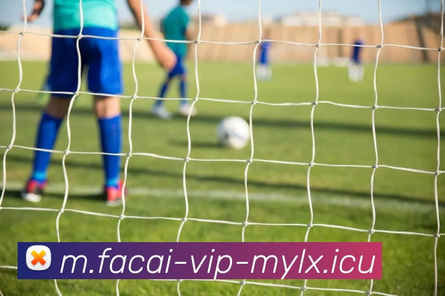 乐竞体育平台生态图